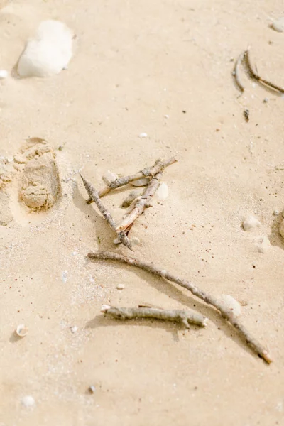 Jard-sur-Mer - Lieu de shooting photo en Vendée